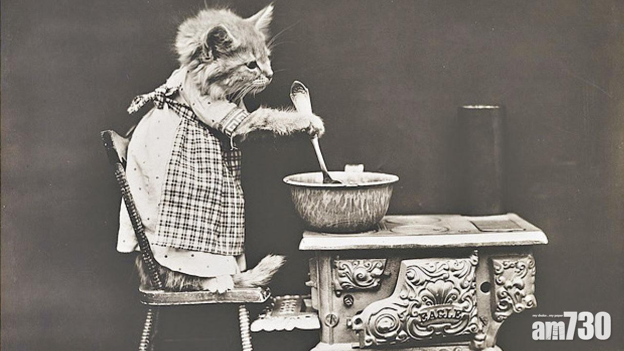 貓狗萌照百年經典