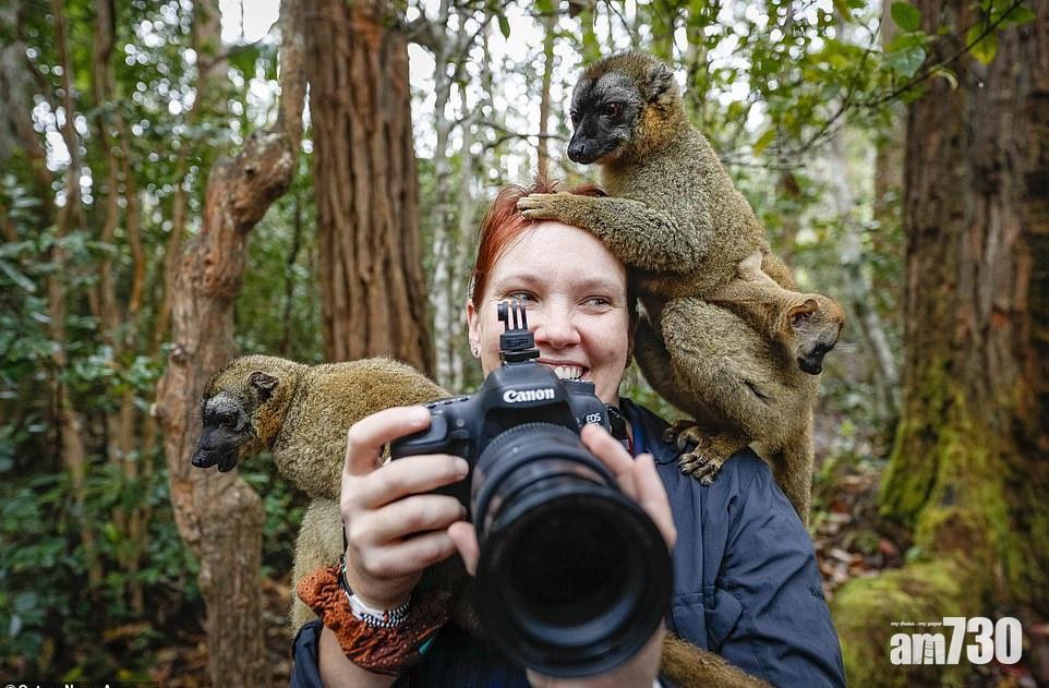【動物也八卦】Just say hi