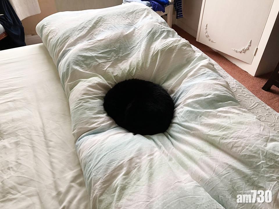 床上的「黑洞」