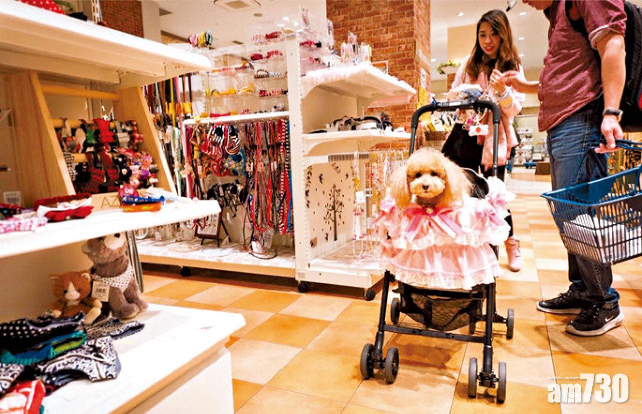 與毛孩「瀛」歎世界