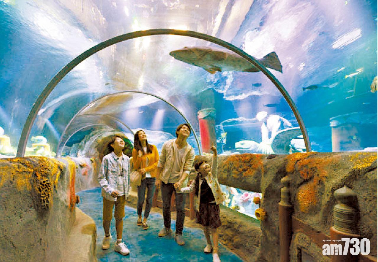 親子深潛名古屋海底世界