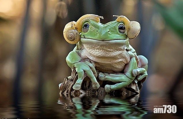 超然蝸筒 天籟蛙音