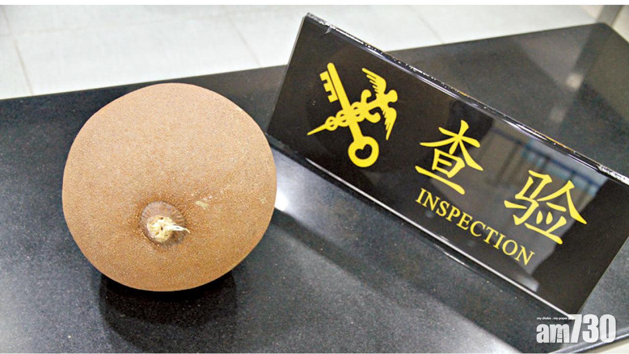 傳爆炸威力如手榴彈  科學雜誌：炮彈果浪得虛名