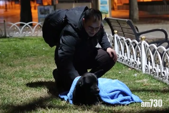 【愛心爆棚】每晚收工後  牙醫四處替流浪貓狗蓋被