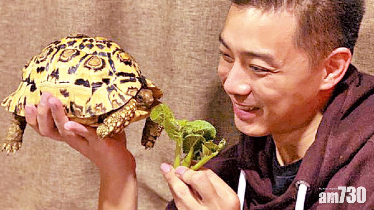 堅持放養  何君誠：寵物不可為你坐一世監