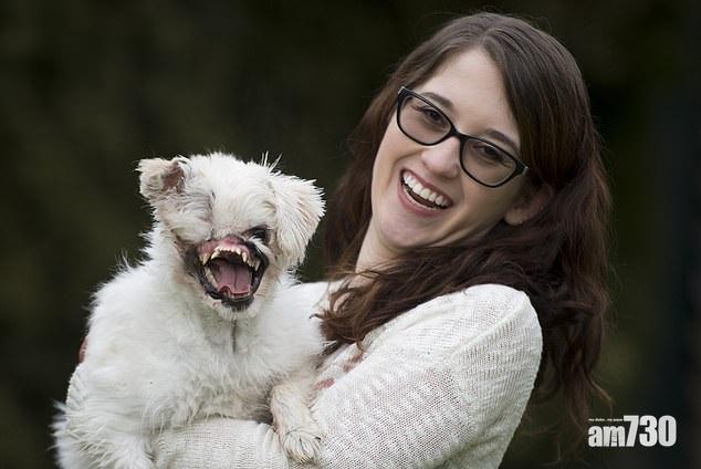 毀容狗苦盡甘來