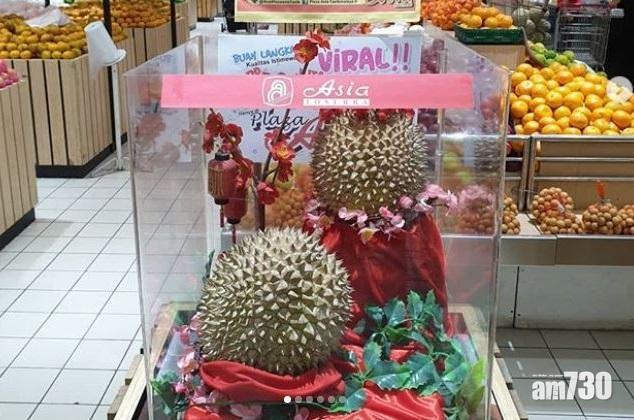 【有乜咁巴閉】印尼新品種榴槤J-Queen  一個賣7000幾蚊