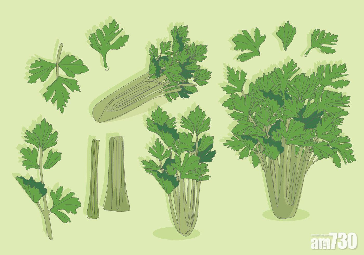 【勿偏食】吃蔬菜都有害？原來是硝酸鹽的禍