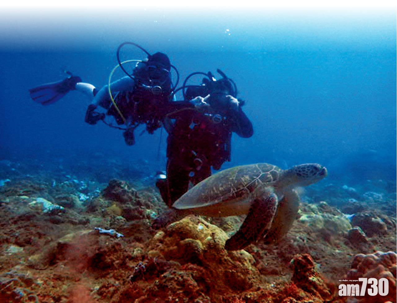社工助規劃  少女冀當鯊魚保育員