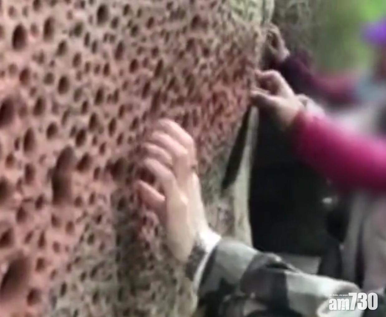 傳樂山大佛岩壁被遊客戳洞 景區：天然形成