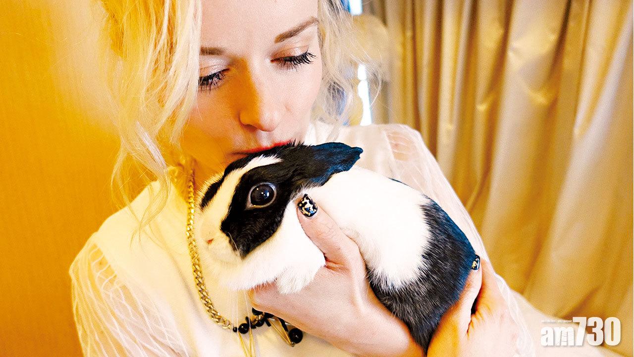 陳明恩 家中有隻古惑的兔