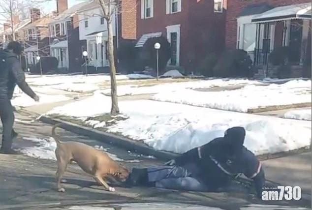 【內容暴力慎入】郵差被鬥牛㹴死咬不放  出動掃把垃圾箱也無符(有片)