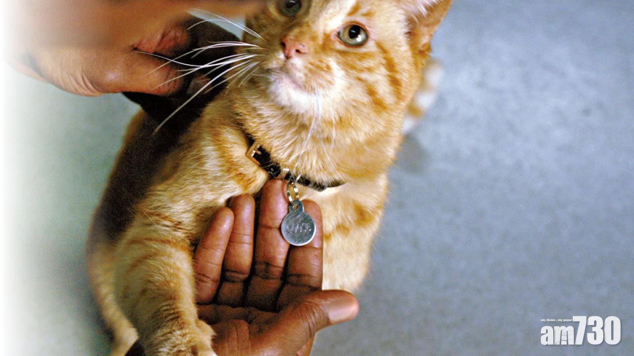 Marvel隊長主子 未上映 先搶鏡