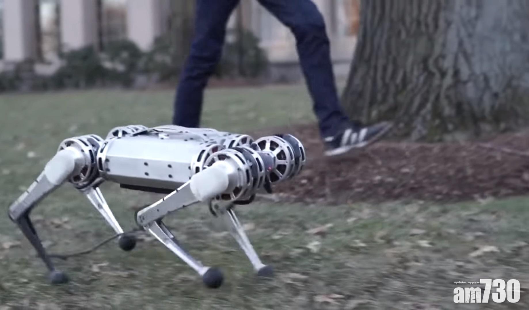 【黑鏡真實版】美大學研發機械獵豹 奔跑彈跳更可後空翻 (有片)