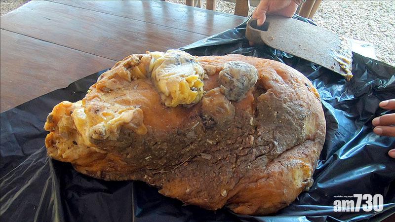 【發達喇】泰男海邊撿怪石　原來係390萬「龍涎香」(有片)