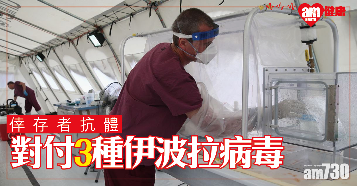 【有望治療】倖存者抗體 能對付3種伊波拉病毒