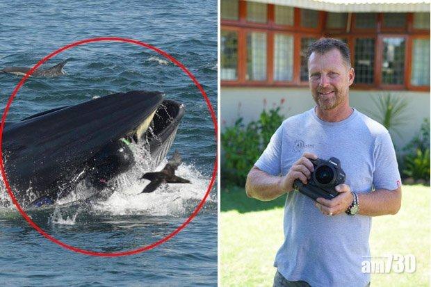 【震撼】被「鯨吞」眼前一黑  潛水員驚呼：我不想有下次(有片)