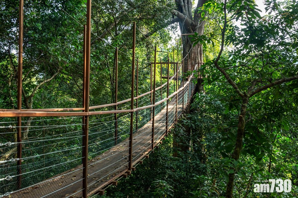 住進熱帶雨林  The Datai Langkawi