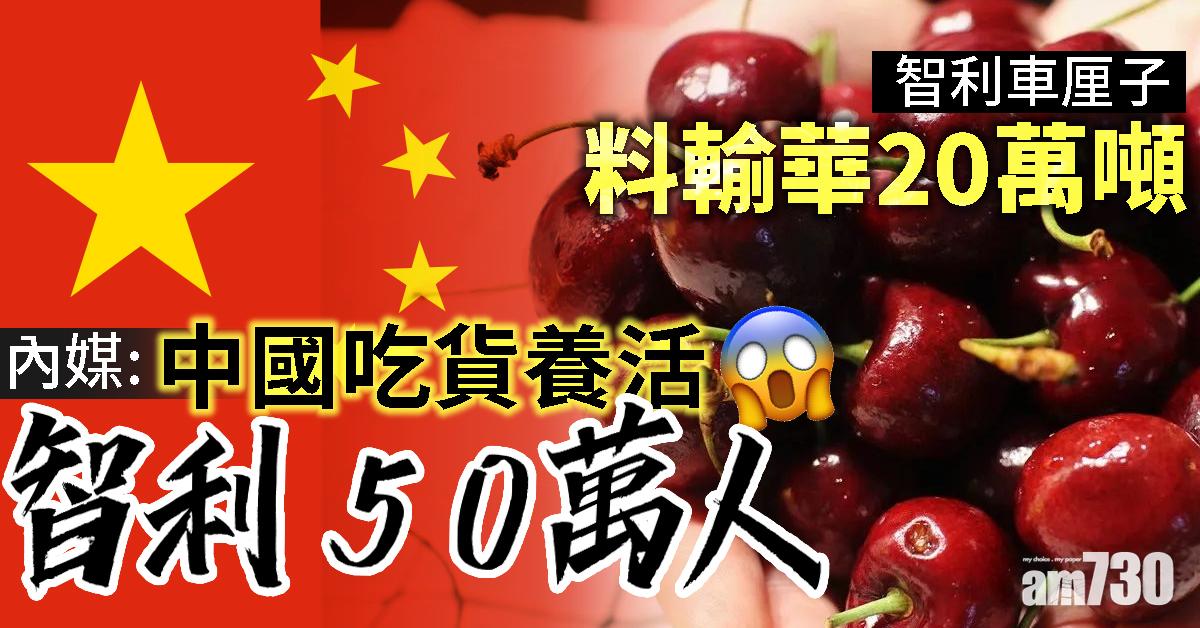 中國吃貨養活50萬人 智利車厘子料輸華20萬噸