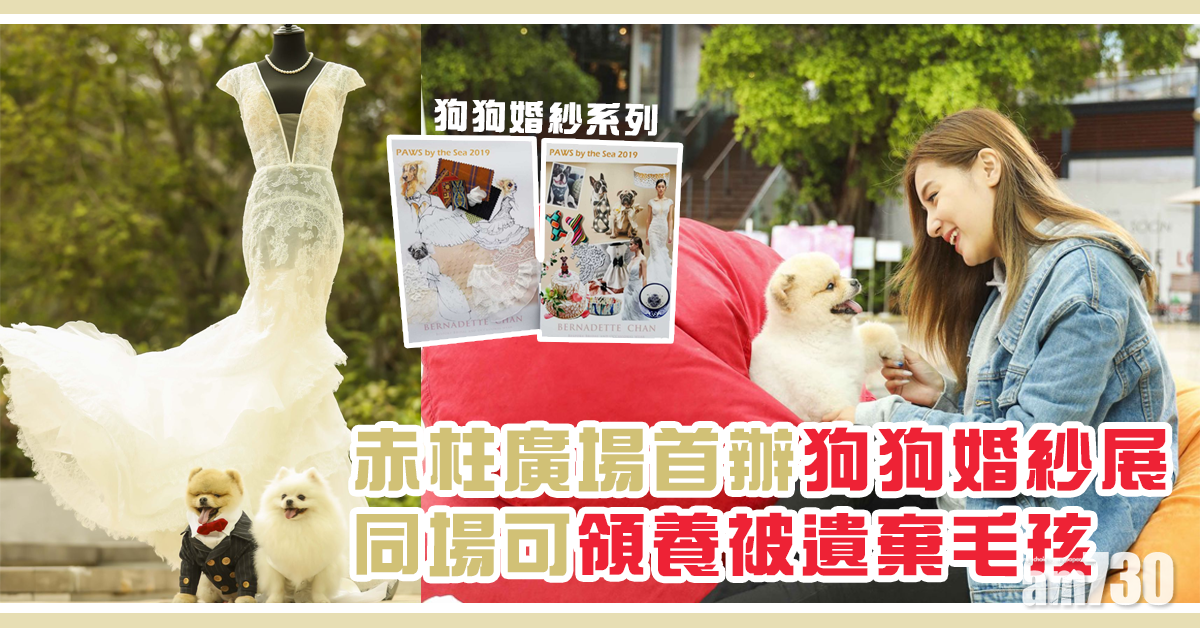 赤柱廣場首辦狗狗婚紗展 同場領養被遺棄毛孩