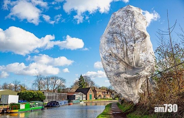 網中樹 陰濕趕絕鳥巢只為……