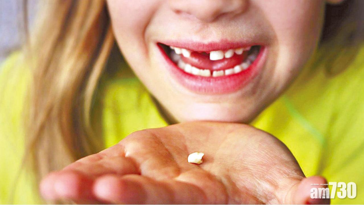 乳齒藏幹細胞或可治癌