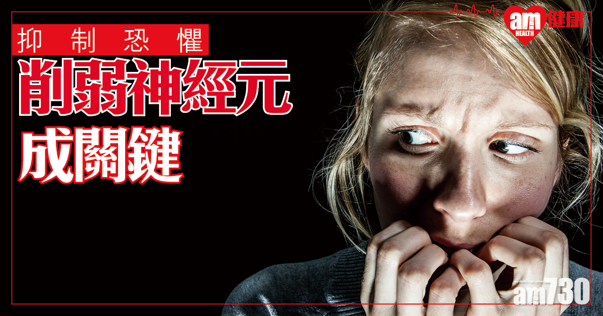 【抑制恐懼】發現大腦關鍵細胞 有助治療PTSD