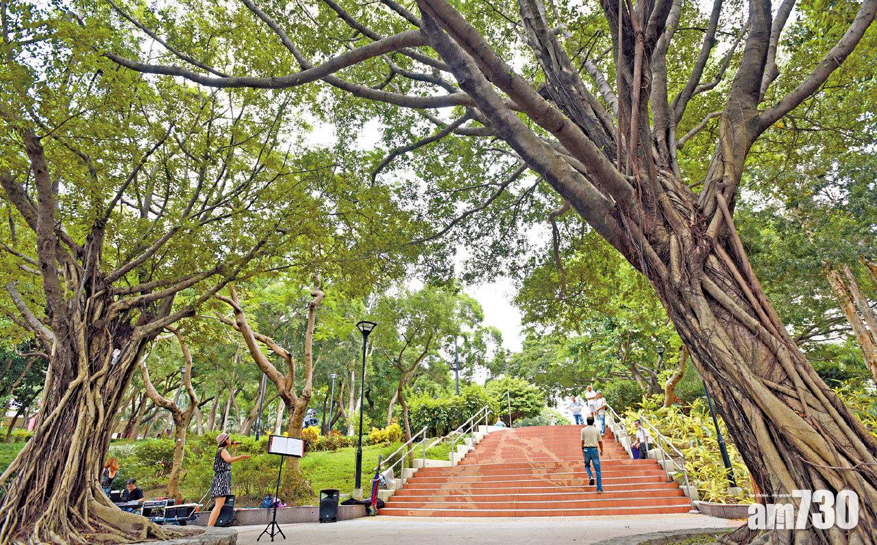 擬修例更易起訴 康文署決打擊公園噪音