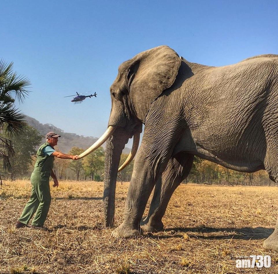 大笨象隻腳……亨利鏡下有景轟