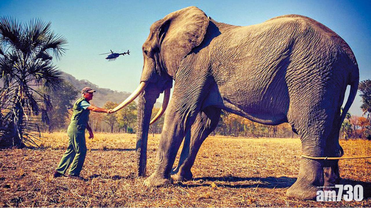 亨利鏡下有景轟