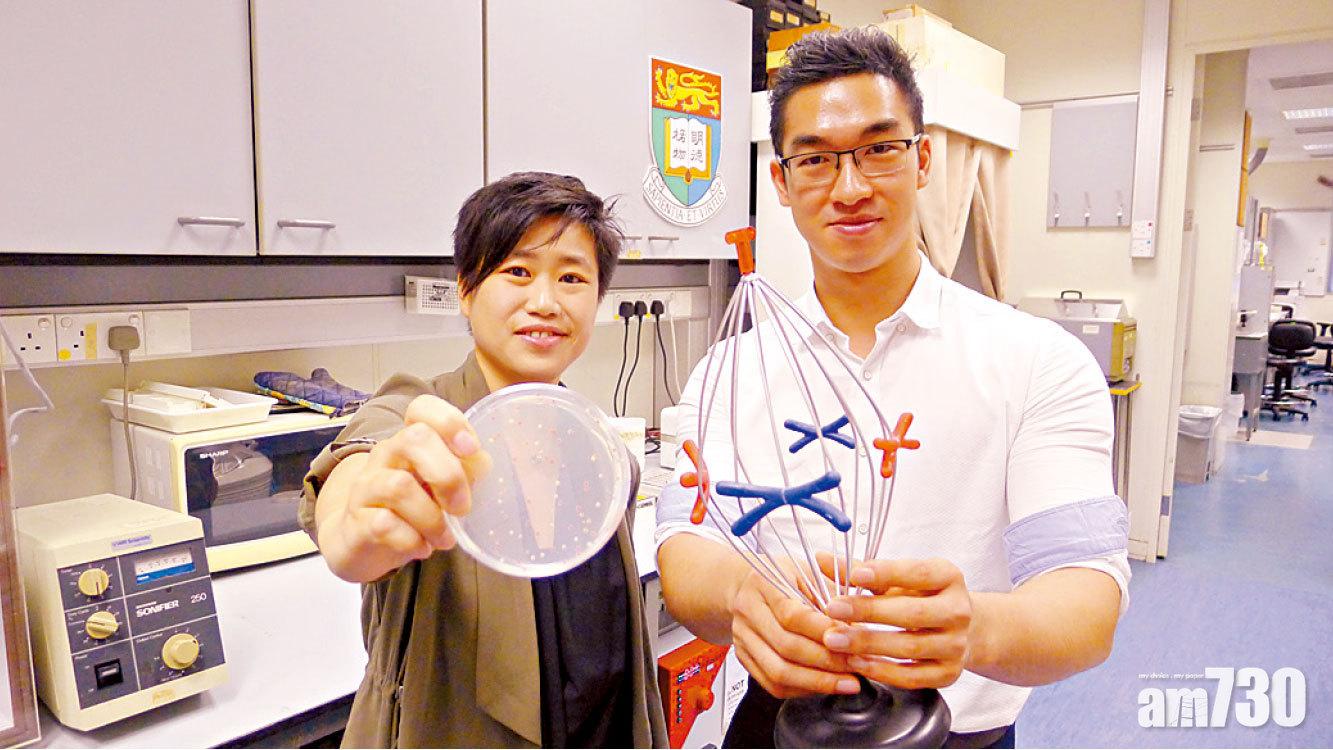 發現細胞分裂新機制 港大︰助了解治癌方向