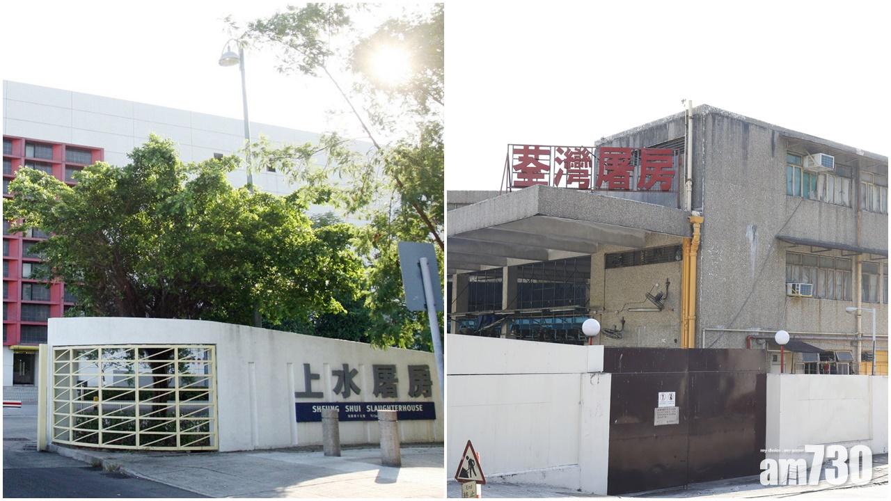 上水及荃灣屠房將完成消毒  本地豬隻最快周一供應市場