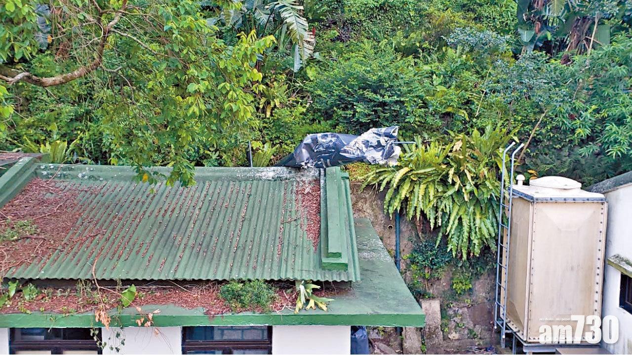 直升機失事 墜嘉道理農場機師亡