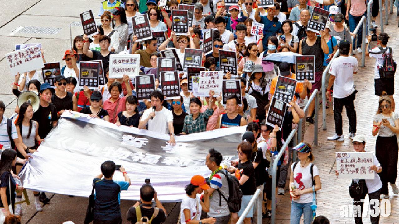 月內第三次遊行爭取設動物警察