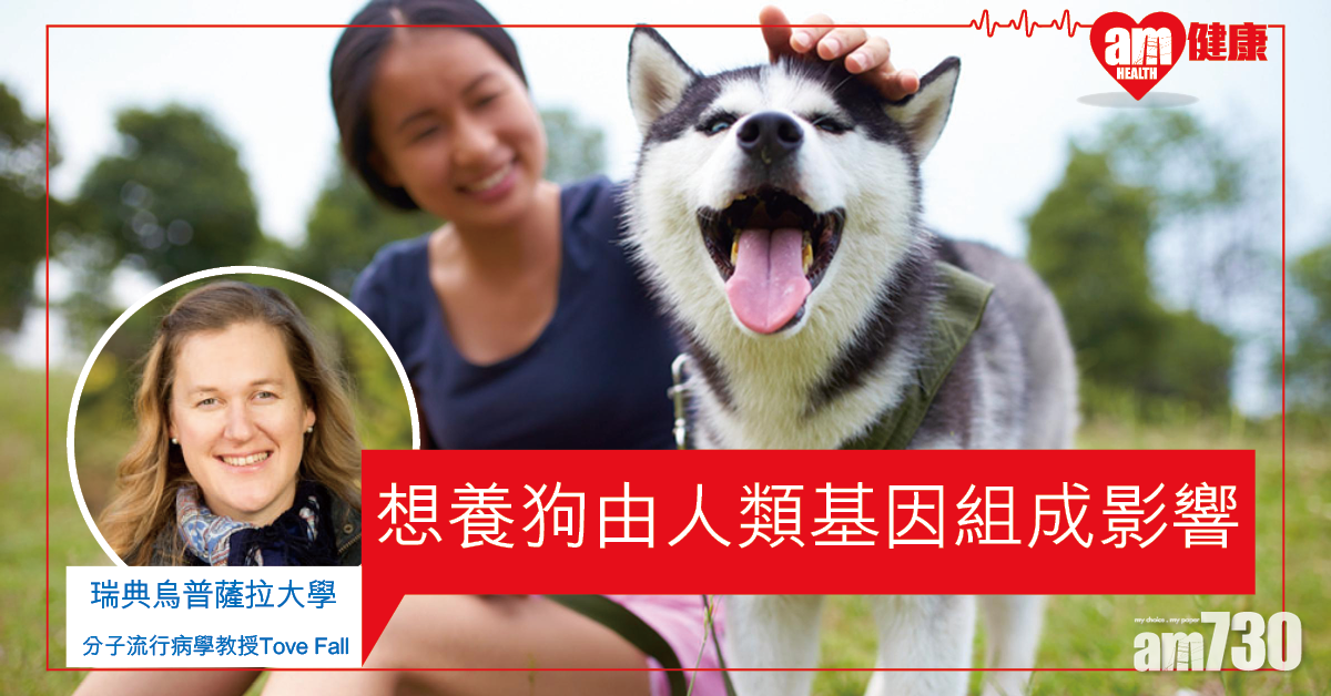 【養狗天注定】你選擇養狗 研究：源於人類基因組成影響