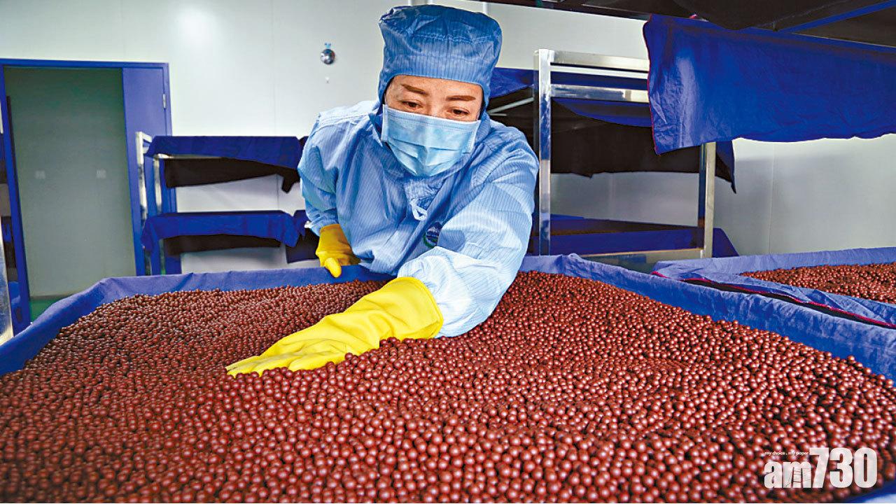 恒指反彈受制10天線 藥股續弱中生瀉8%