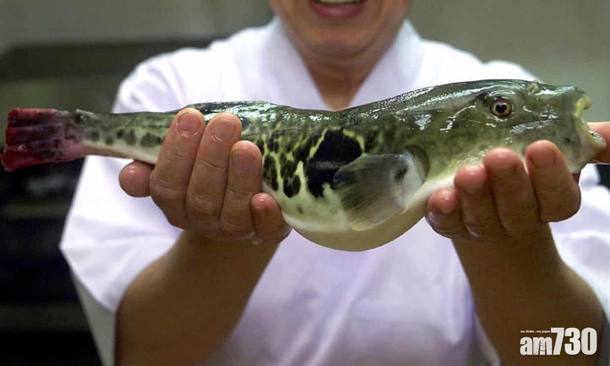 【禍從口入】食雞泡魚肝臟 男子換來終身洗腎 