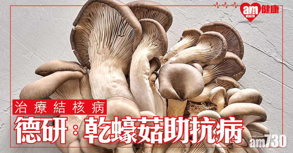 【治療結核病】德研：蠔菇曬乾 或助患者對抗疾病