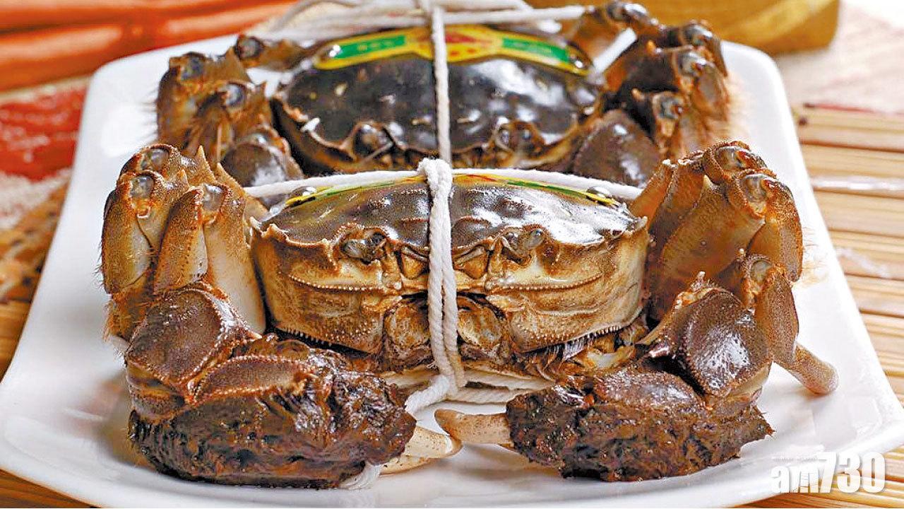 71萬隻大閘蟹橫行無忌  比利時擬遣返中國