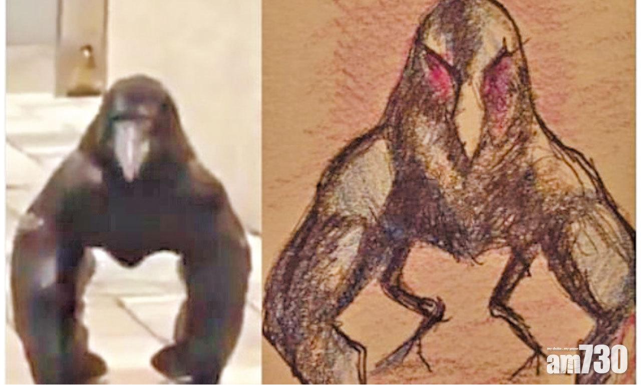 烏鴉冒充大猩猩