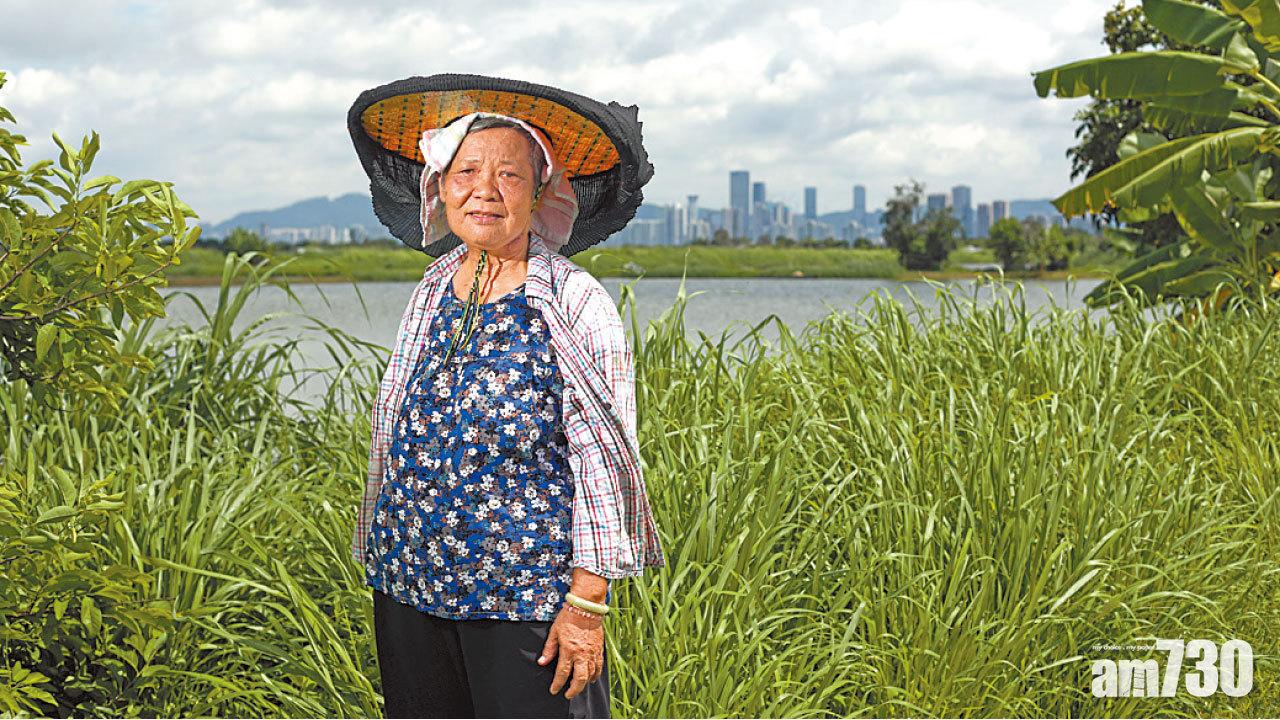 養魚戶傳承產業文化近半世紀未言休