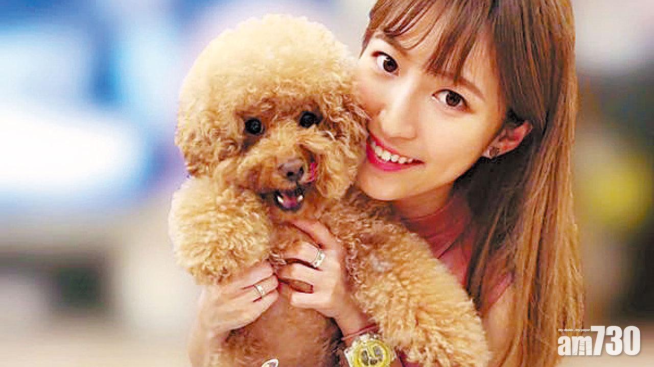 謝文欣家有魔音狗