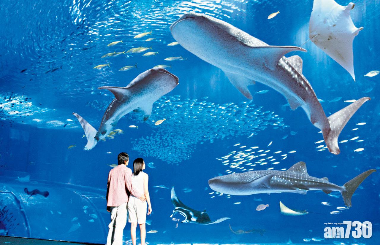 沖繩親子遊懶人包