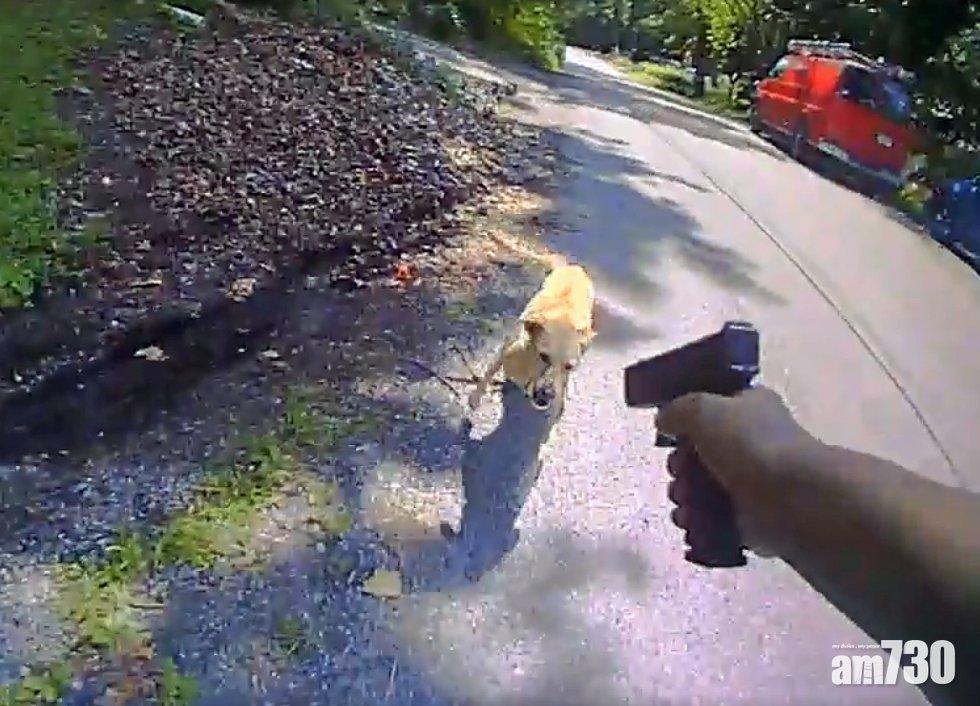 【警槍係咁用？】狗狗撲埋身狂吠  警察將佢就地正法(有片)