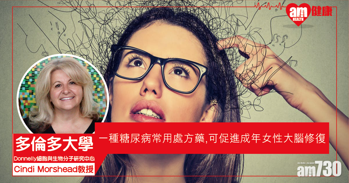 【大腦修復】一種治療糖尿病處方藥 或可助女性治療腦疾病