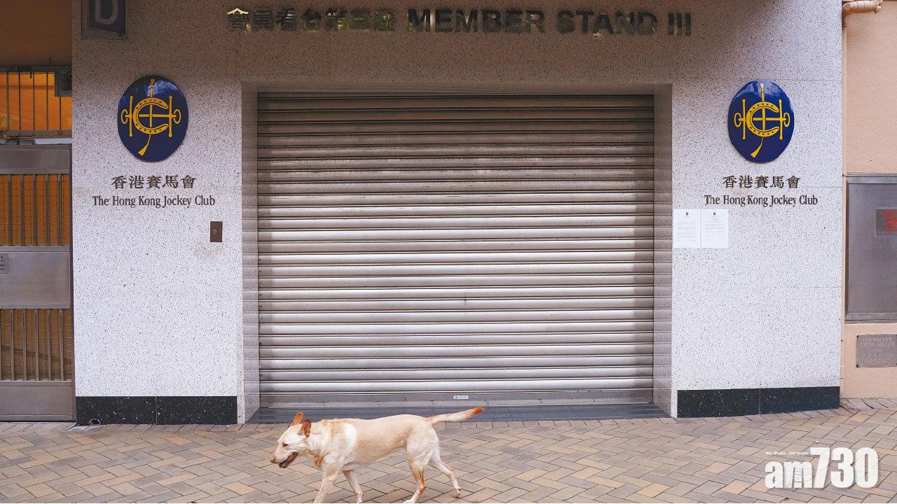 網民發起「撐何君堯愛駒」 馬會突取消夜馬