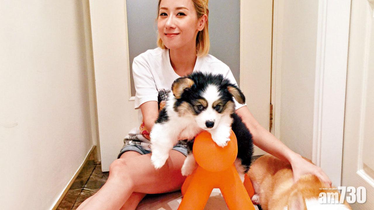 對哥基情有獨鍾  泳兒為救愛犬仆崩下巴