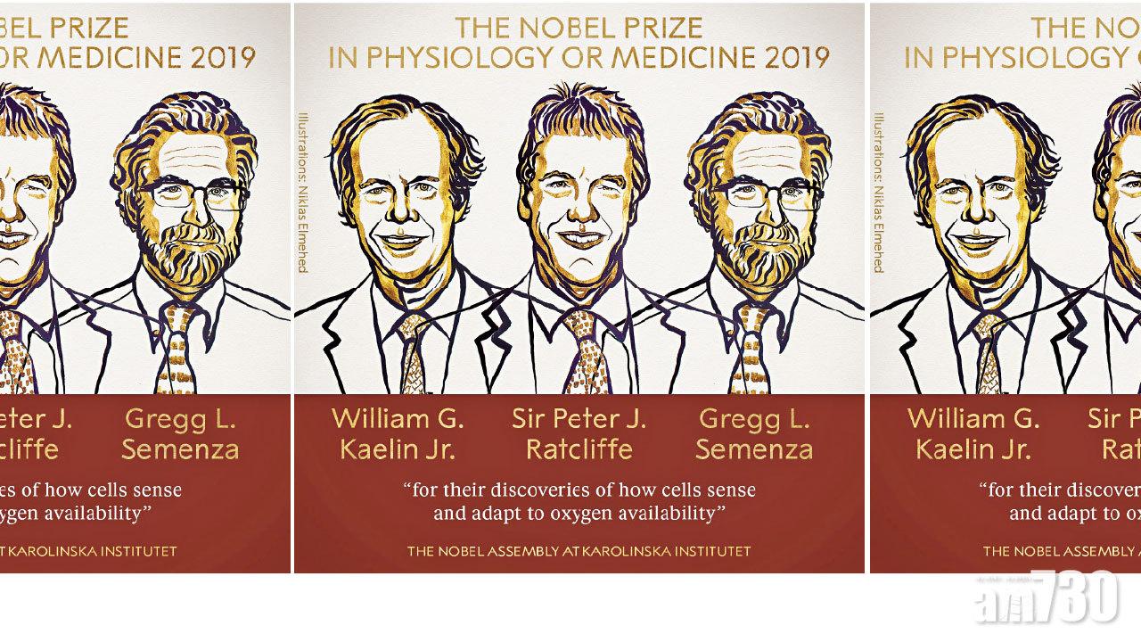 破解細胞如何與氧氣互動 美英三雄奪醫學諾獎