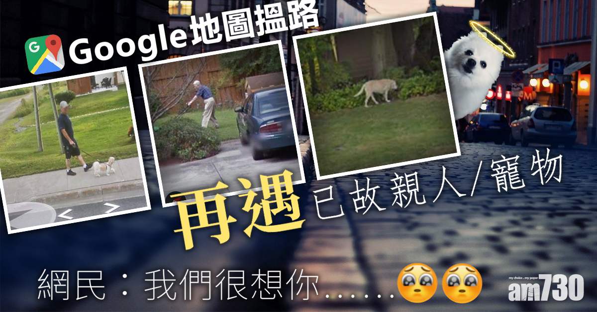 【洋蔥】當在Google街景中看到逝去親友寵物……