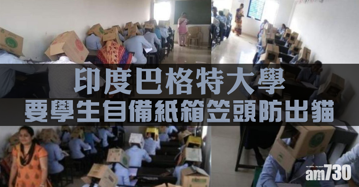 【奇招】要學生自備紙箱笠頭防出貓  大學被罵「不人道」